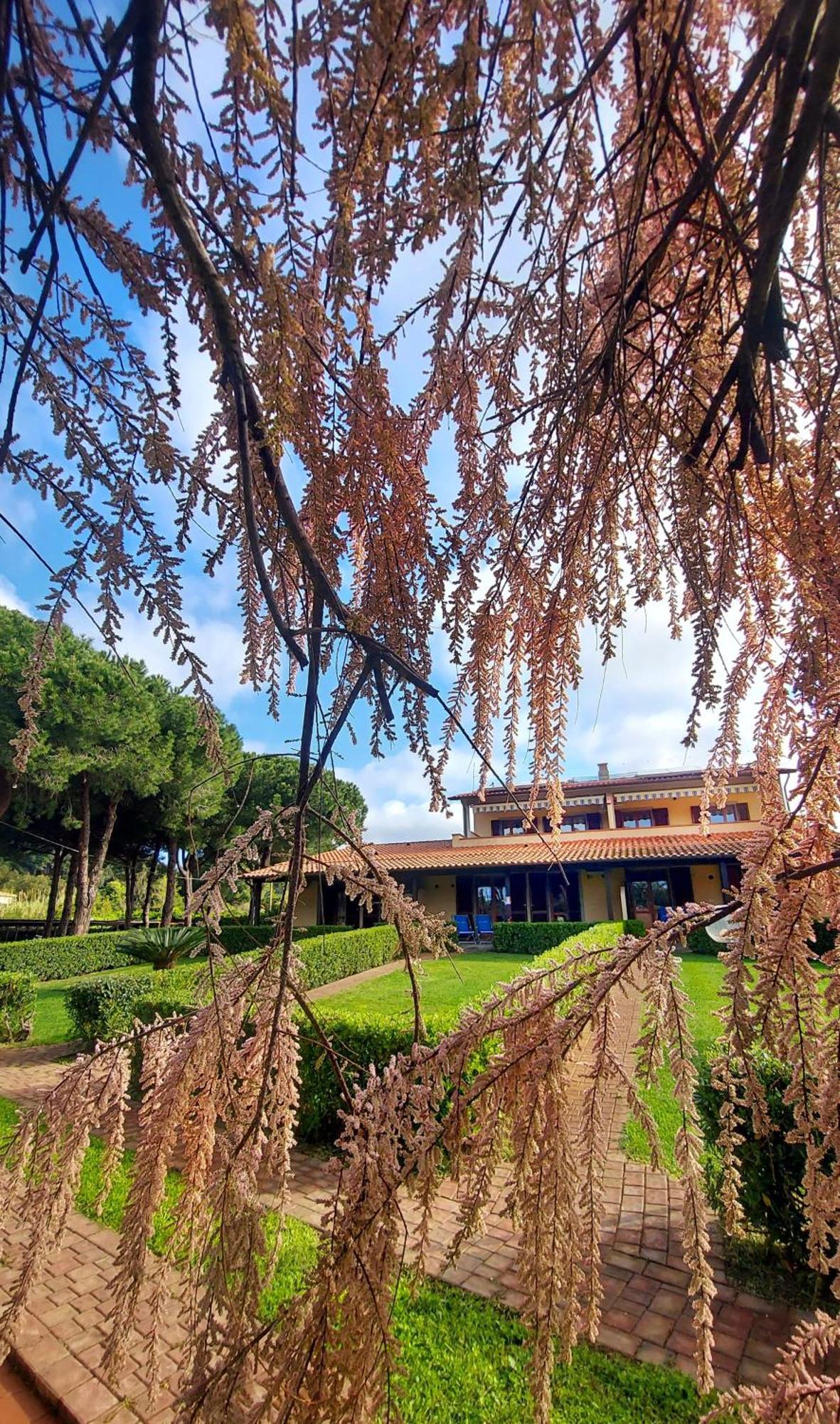 Lido Azzurro Residence Rta Capoliveri  Dış mekan fotoğraf